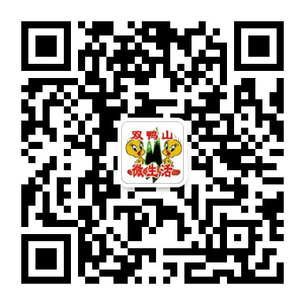 双鸭山微生活公众号二维码