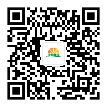 沈阳网报公众号二维码