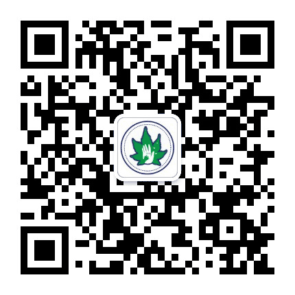 沈阳市智慧森林幼儿园公众号二维码