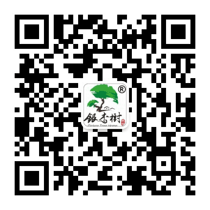 宿州银杏树公众号二维码