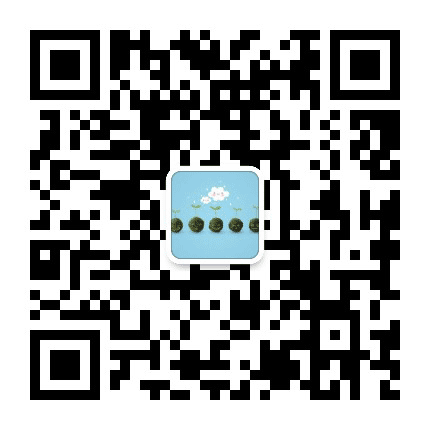 南坪新声公众号二维码