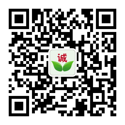 天津阳光绿叶家政公众号二维码