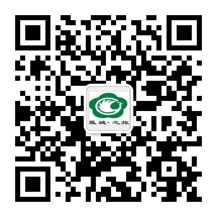 泰兴蓝领巾童军公众号二维码