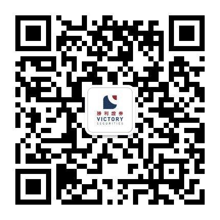 勝利策略公众号二维码