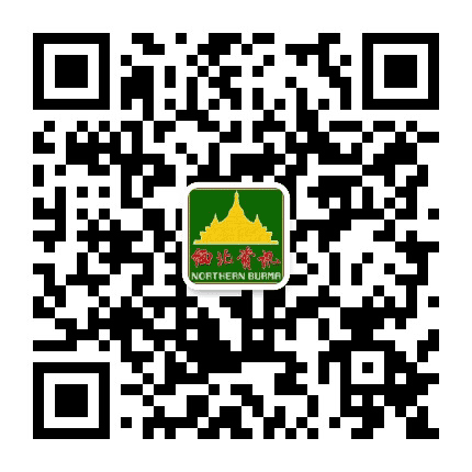 缅北资讯公众号二维码