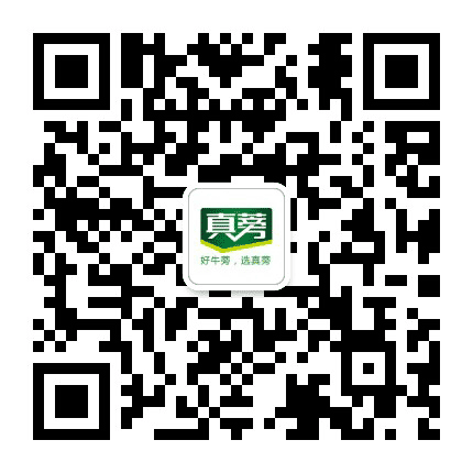 旺达牛蒡真蒡牛蒡公众号二维码