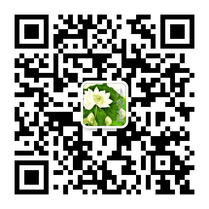 清风卫滨公众号二维码