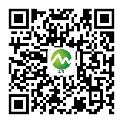 武都生活网公众号二维码