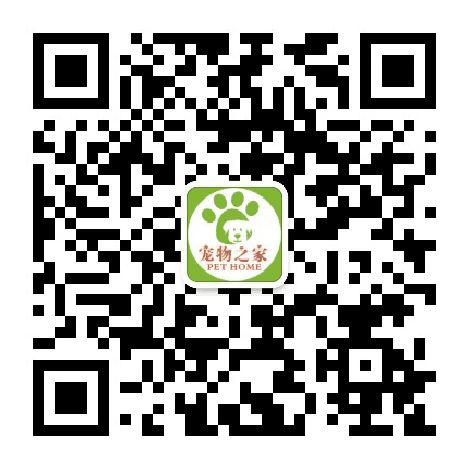 宠物之家官网公众号二维码