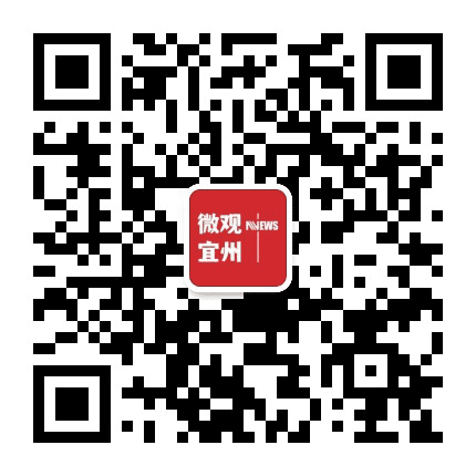 微观宜州公众号二维码