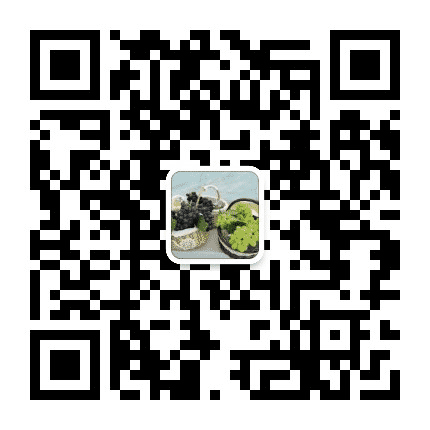 温岭滨海发布公众号二维码