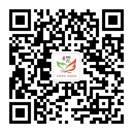 文明普陀公众号二维码