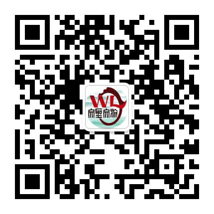 文圣文旅公众号二维码