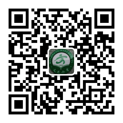 崇州市文井小学校公众号二维码