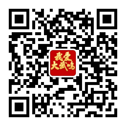 武鸣信息网公众号二维码