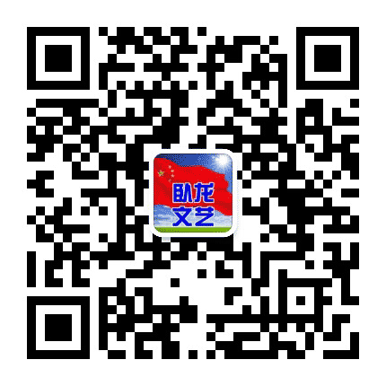 卧龙文艺公众号二维码