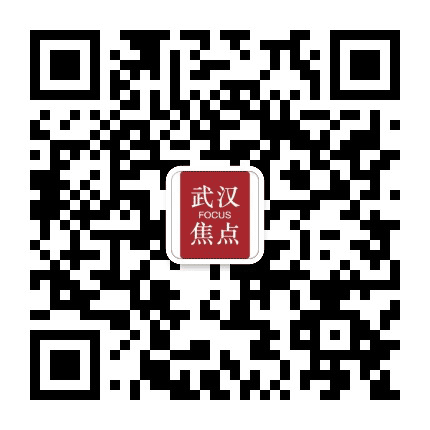 武汉焦点公众号二维码
