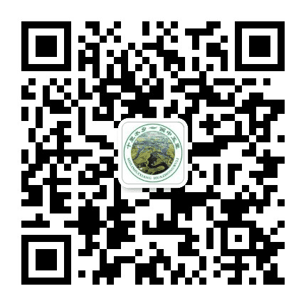 五里镇直通车公众号二维码