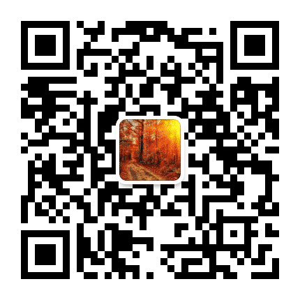 脑黑洞脑白洞公众号二维码
