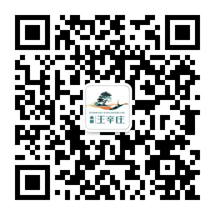 魅力王辛庄公众号二维码