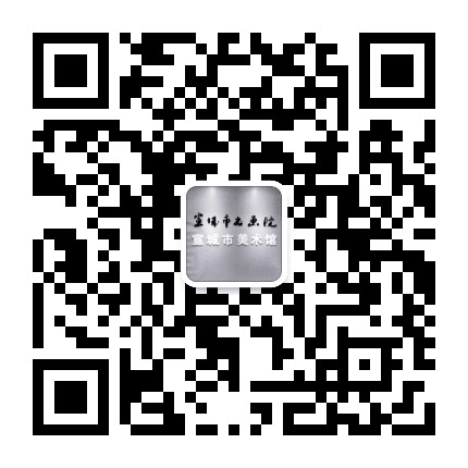 宣城市书画院公众号二维码