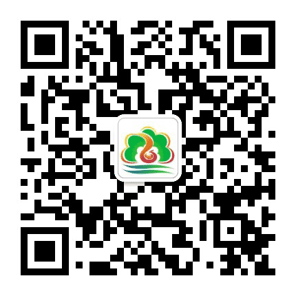 今日六合公众号二维码
