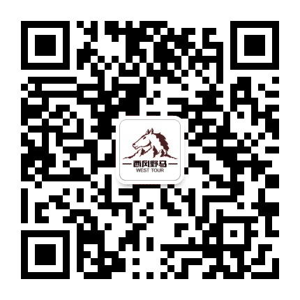 西风野马公众号二维码