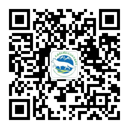 青海雪狐国旅公众号二维码