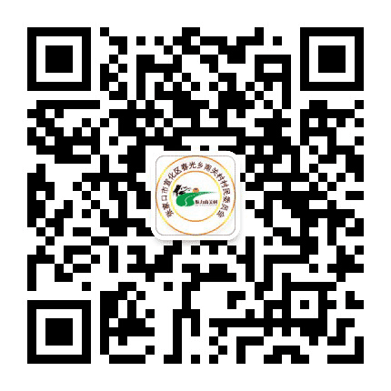 魅力南关村公众号二维码