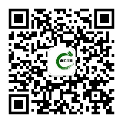 大城鑫汇公众号二维码