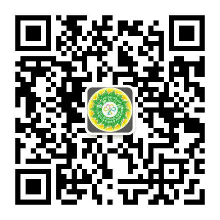 莆田市城厢区霞林幼儿园公众号二维码