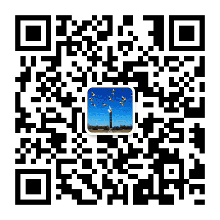 仙河资讯公众号二维码