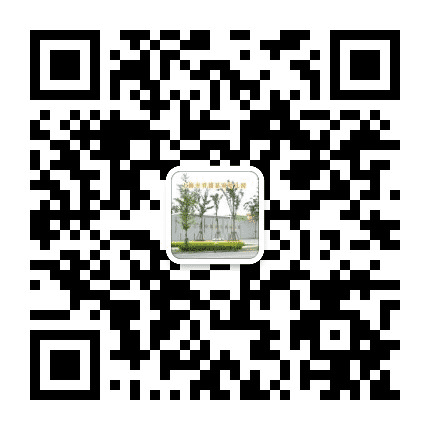 上海市青浦夏雨幼儿园公众号二维码