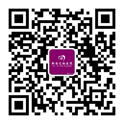 新安宠物医院公众号二维码