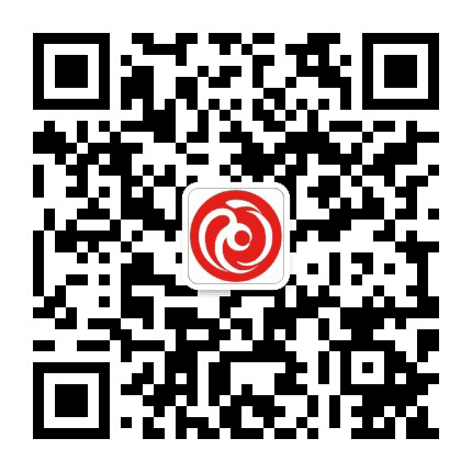 新疆网公众号二维码