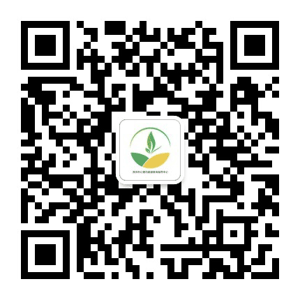 深圳市心理与家庭教育指导中心公众号二维码