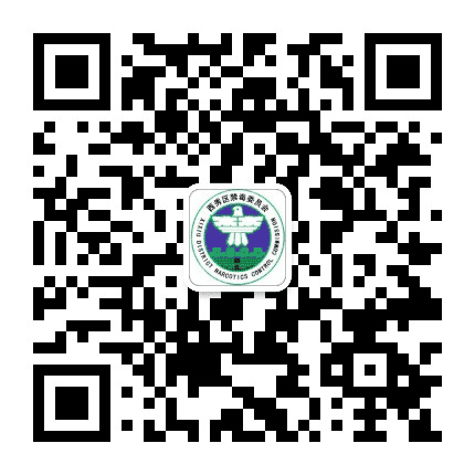 西秀禁毒公众号二维码