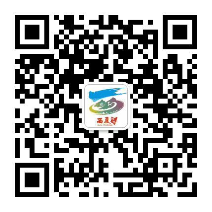 文旅西夏公众号二维码