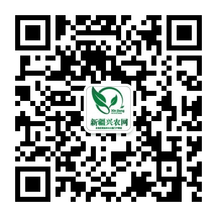 新疆兴农公众号二维码