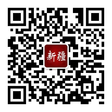 最爱大新疆公众号二维码