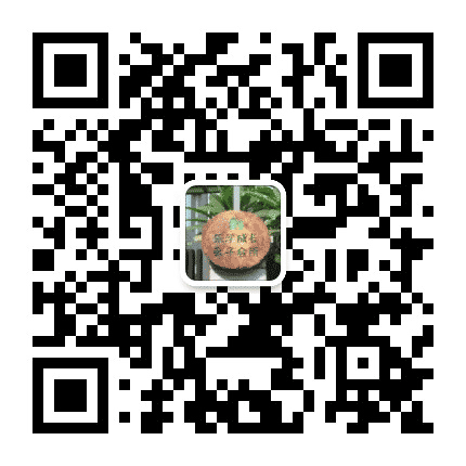 乐学成长亲子会所公众号二维码