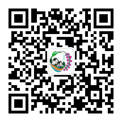 新都街道新桥村青年公众号二维码