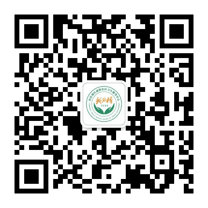 新桥社区卫生服务中心公众号二维码