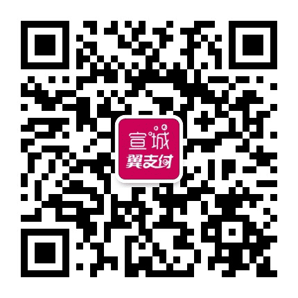 宣城翼支付公众号二维码