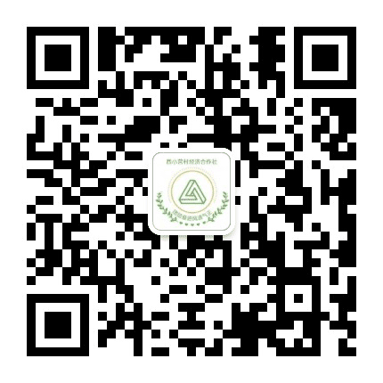 西小营村委会公众号二维码