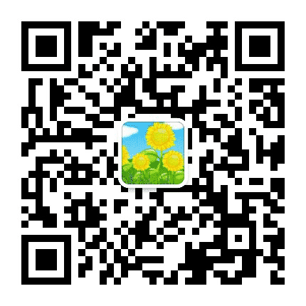 向阳动态公众号二维码