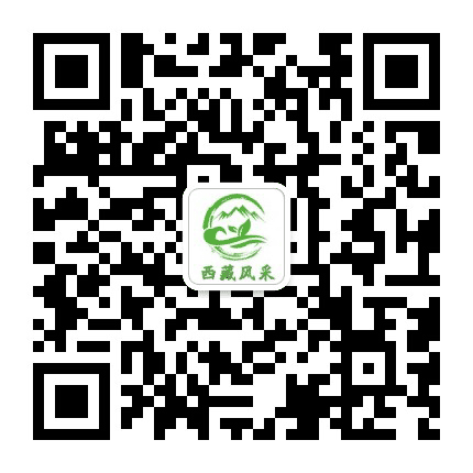 西藏风采旅游公众号二维码