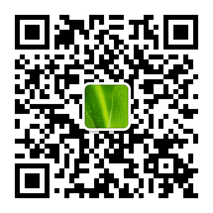 宣城市宣州区书画院公众号二维码