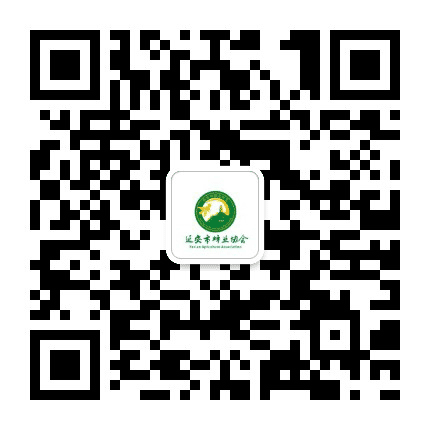 延安蜂业公众号二维码