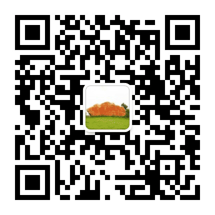 福临姚圩公众号二维码